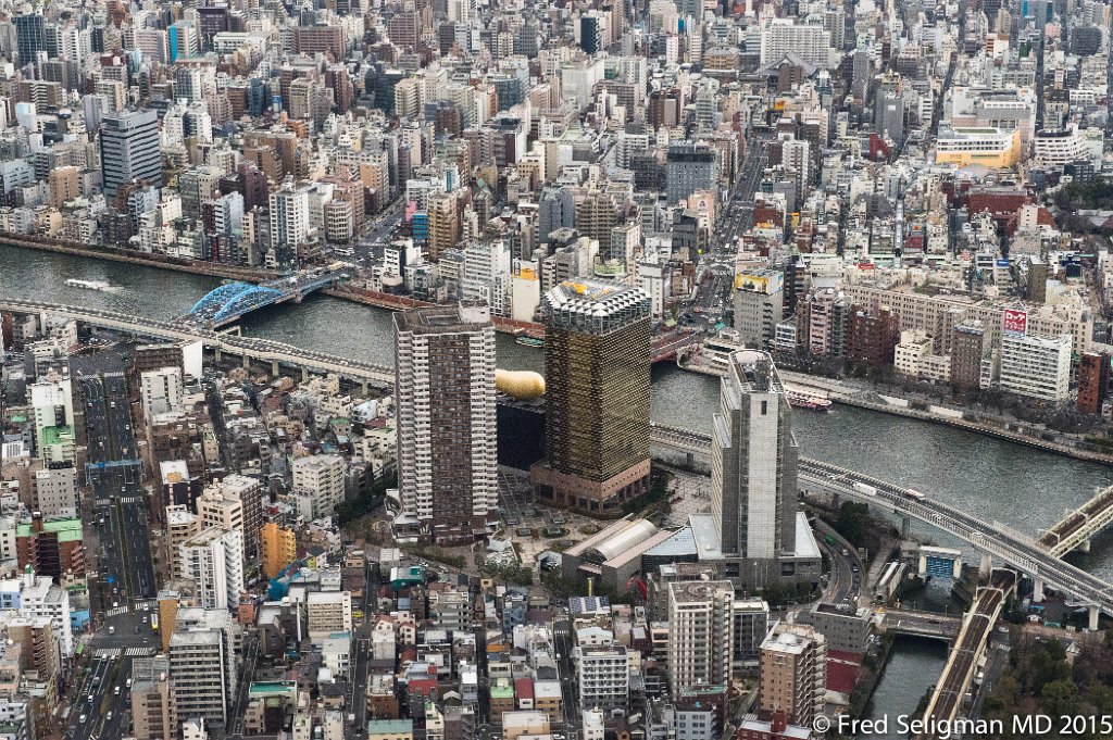 20150310_145822 D4S.jpg - View from Tokyo Skytree